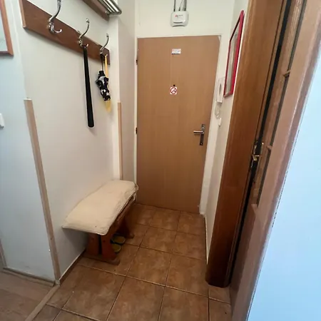 公寓 Apartman Lucni Vrch 卡罗维发利